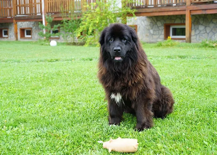 припеците Хотел Годлево