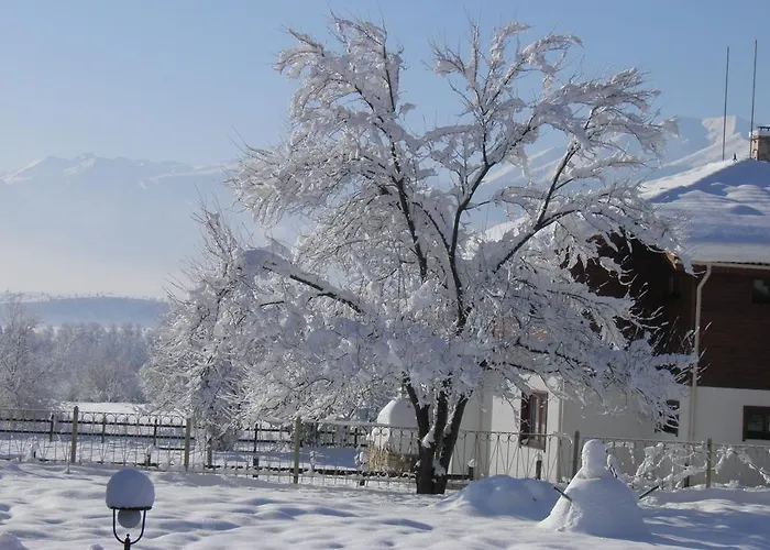 припеците Хотел Годлево