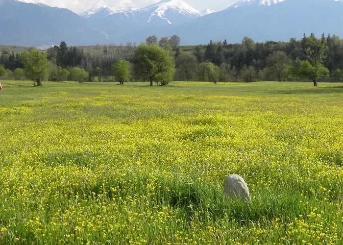 припеците Хотел Годлево